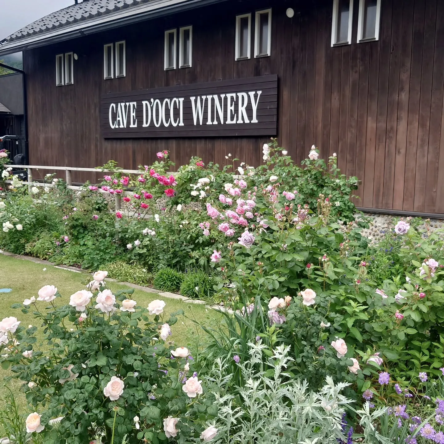 毎年の恒例の、新潟県カーブドッチビネスパに2泊してきました。