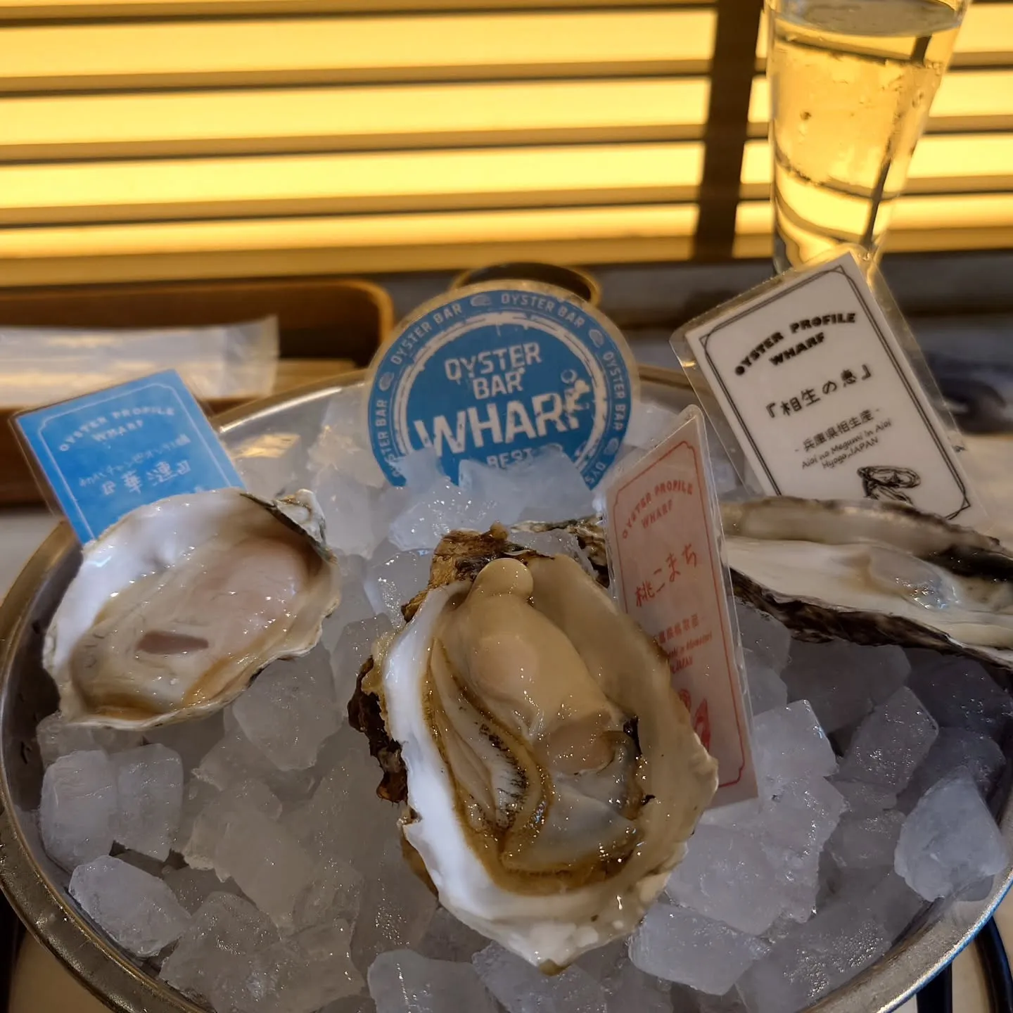 ライヴに行く前の腹ごしらえ。